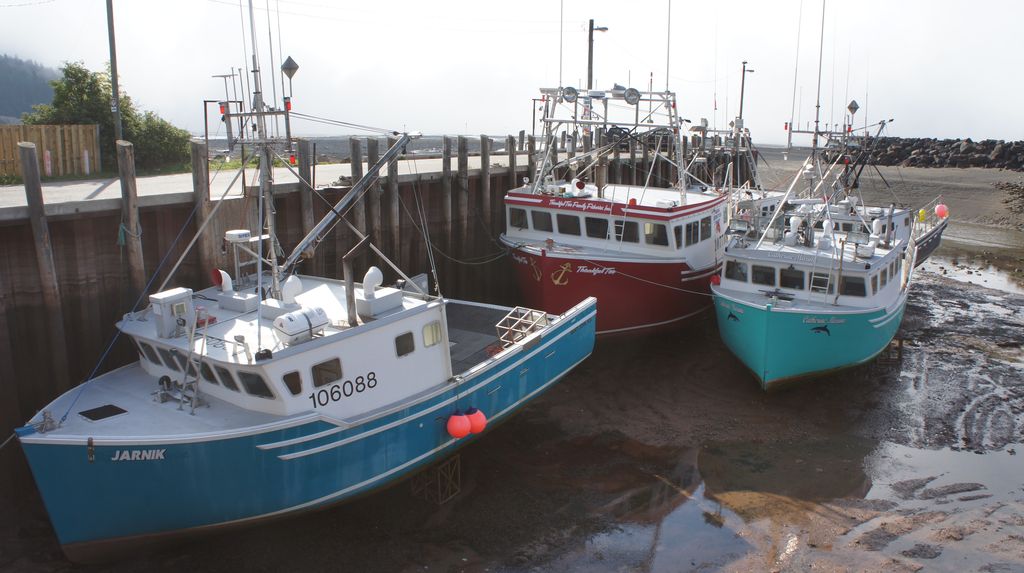 In the harbour of Alma