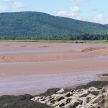 At Hopewell Rocks