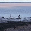 At Hopewell Rocks