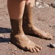 At Hopewell Rocks