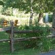 A Seniors residence Garden