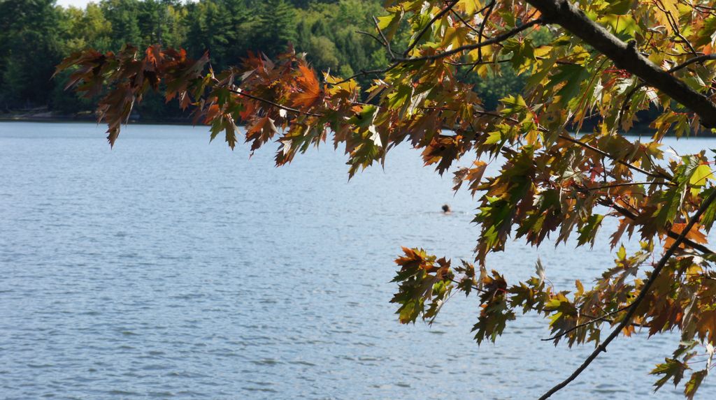 Barbara swimming in Lake Doe