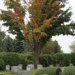 St. Georges Cemetery